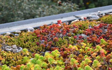 the cost of Purse Caundle green roof installation