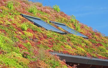 Purse Caundle living roof systems
