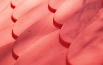 Purse Caundle plastic roof costs