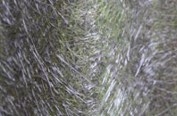 Purse Caundle fibreglass roof work